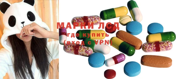 прущие грибы Новодвинск