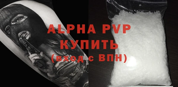 прущие грибы Новодвинск