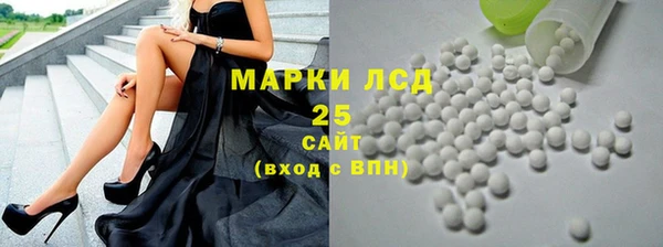 винт Ельня