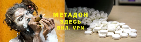 прущие грибы Новодвинск