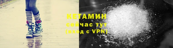 прущие грибы Новодвинск
