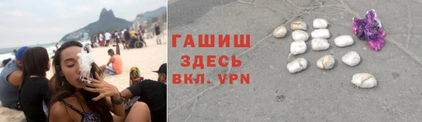 прущие грибы Новодвинск