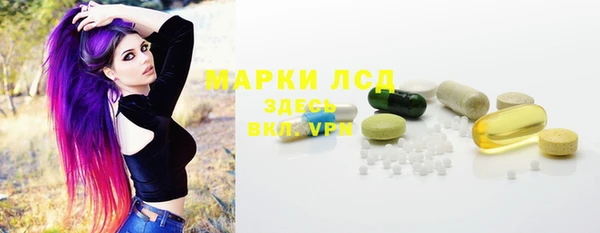 прущие грибы Новодвинск