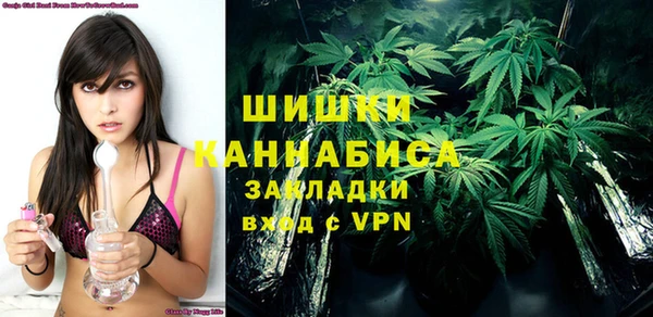 прущие грибы Новодвинск