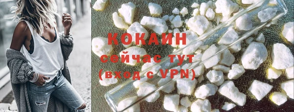 твердый Новозыбков