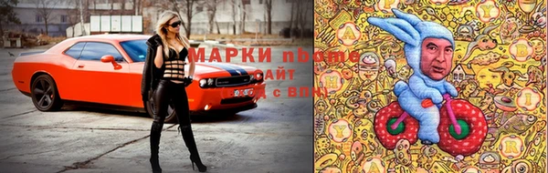 прущие грибы Новодвинск