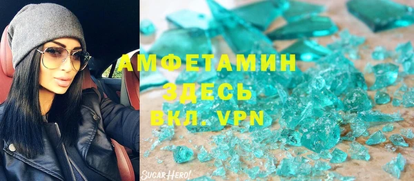 твердый Новозыбков