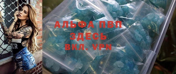 прущие грибы Новодвинск