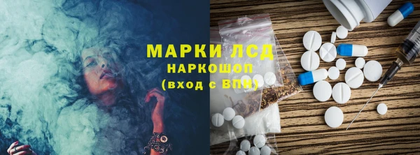твердый Новозыбков