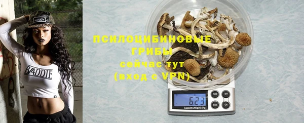 твердый Новозыбков