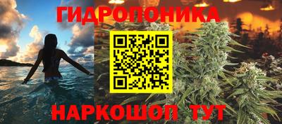 стафф Камышлов