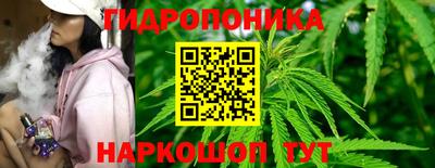 стафф Камышлов