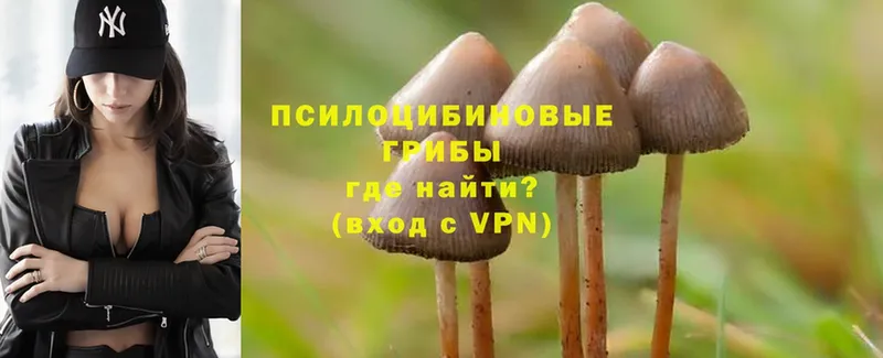 Псилоцибиновые грибы Psilocybe  KRAKEN как войти  Кыштым 