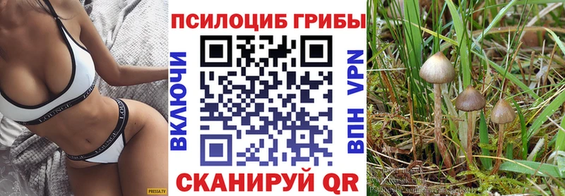 где купить наркоту  Кыштым  omg маркетплейс  Галлюциногенные грибы Magic Shrooms 