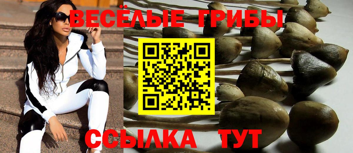 Галлюциногенные грибы мицелий Кыштым