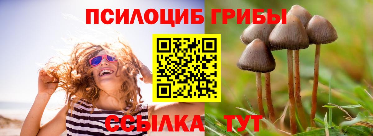 Кыштым  Галлюциногенные грибы ЛСД  Галлюциногенные грибы GOLDEN TEACHER  Вход с VPN 